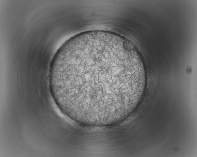 X0000111221038200907161246