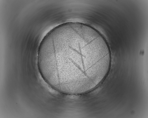 X0000111221040200907161246
