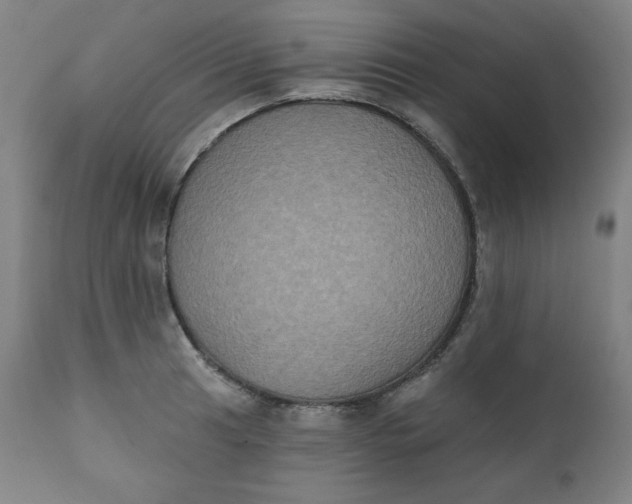X0000111221041200907161246