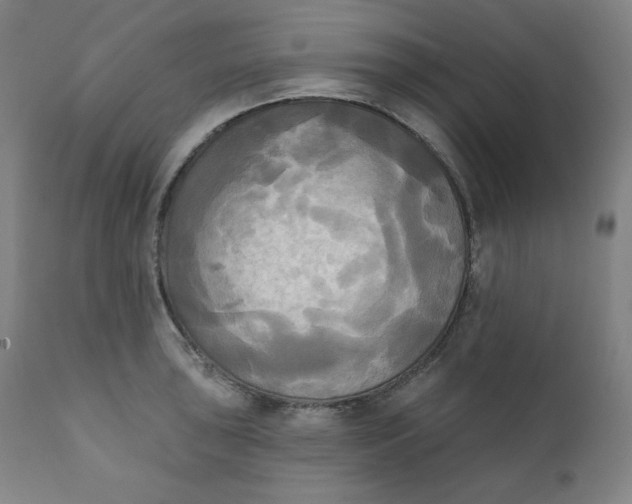 X0000111221043200907161246
