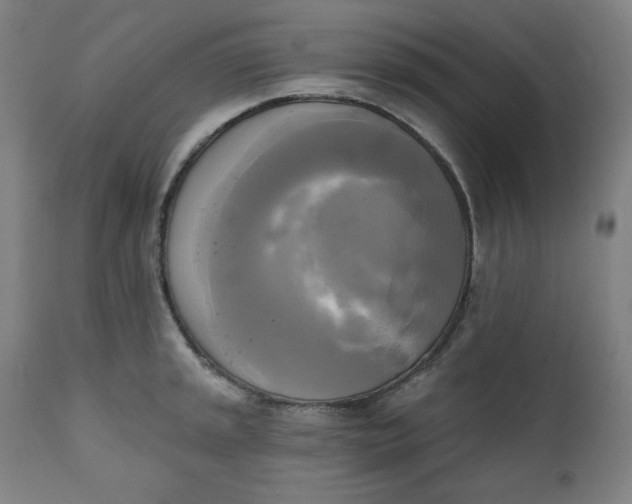 X0000111221045200907161246