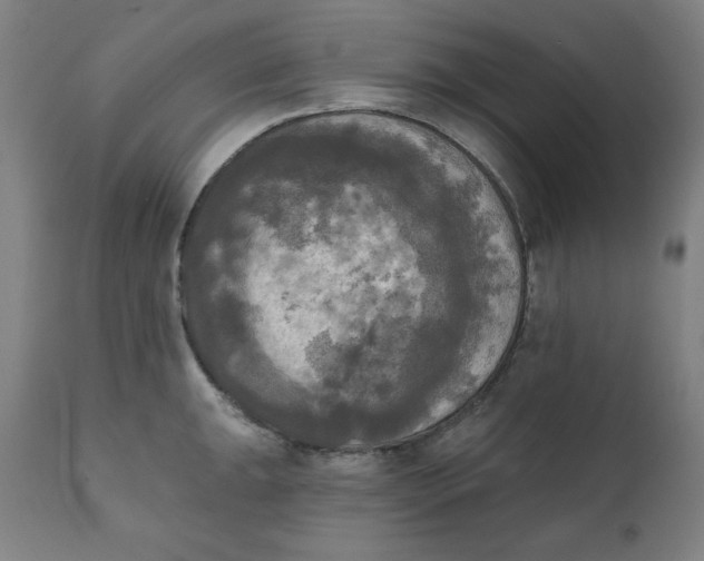 X0000111221047200907161246