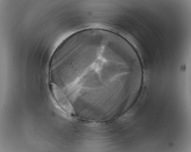 X0000111221048200907161246