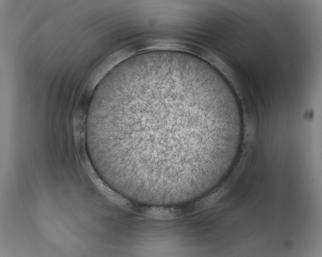 X0000111221049200907161246