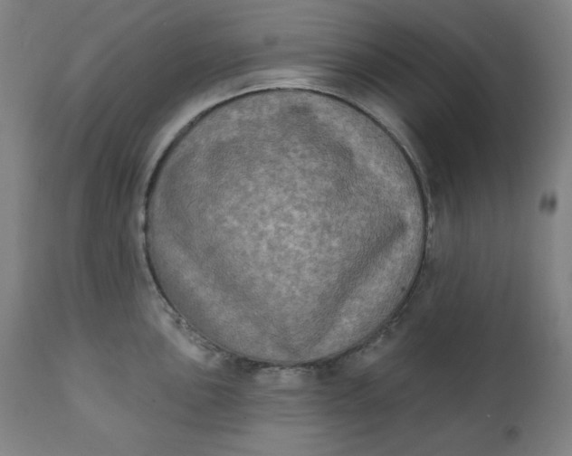 X0000111221051200907161246