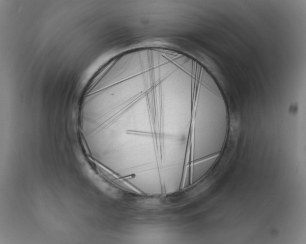 X0000111221054200907161246