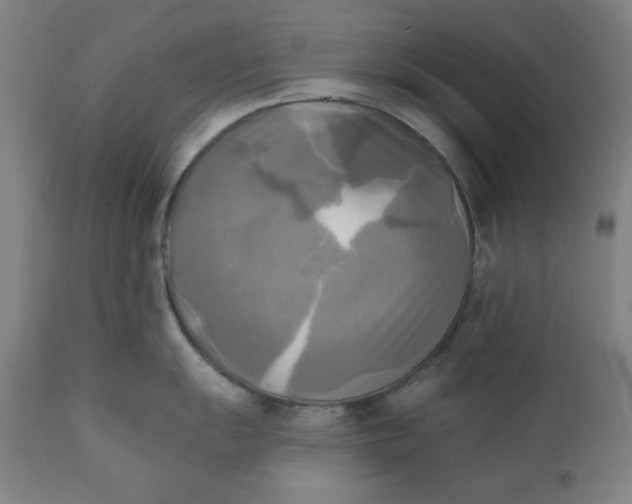 X0000111221055200907161246