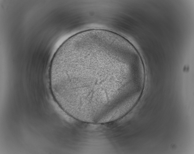 X0000111221056200907161246