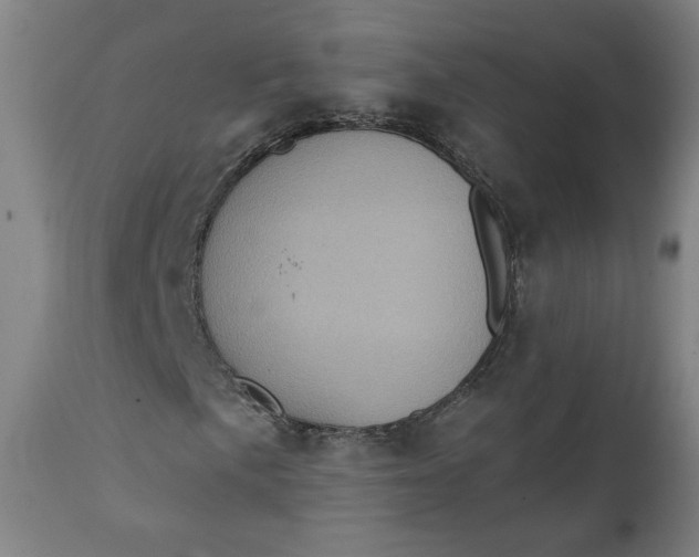 X0000111221057200907161246