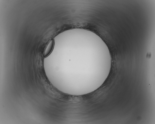X0000111221058200907161246