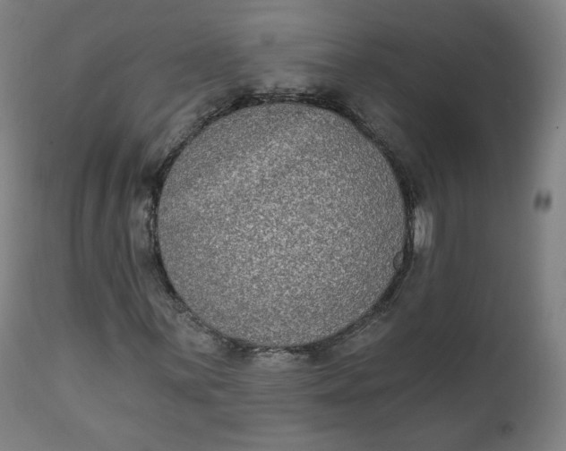 X0000111221059200907161246