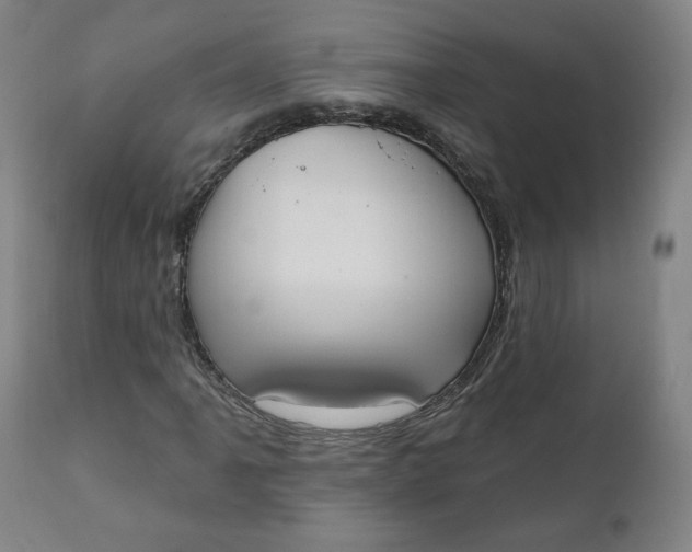X0000111221061200907161246
