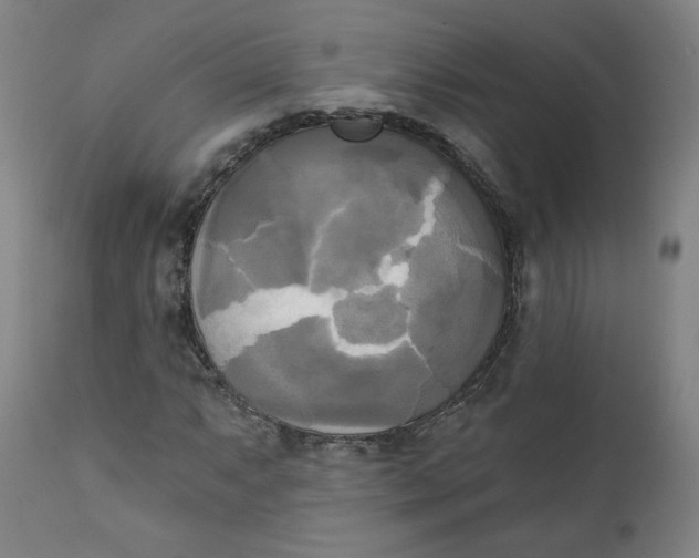 X0000111221063200907161246