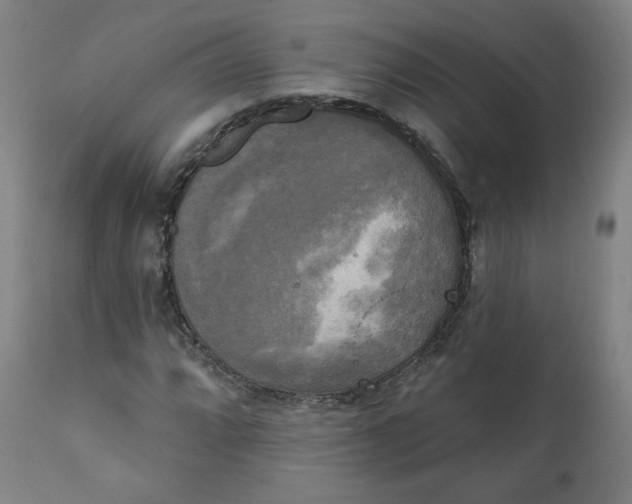 X0000111221064200907161246