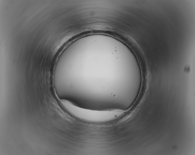 X0000111221065200907161245
