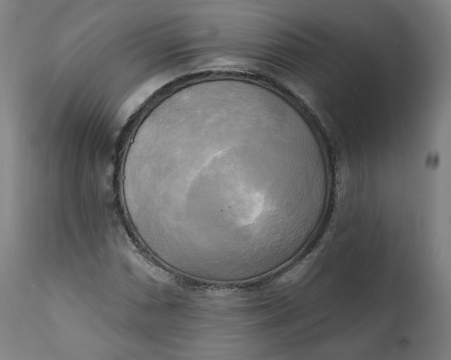 X0000111221066200907161245