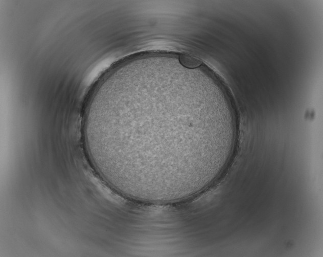X0000111221067200907161245