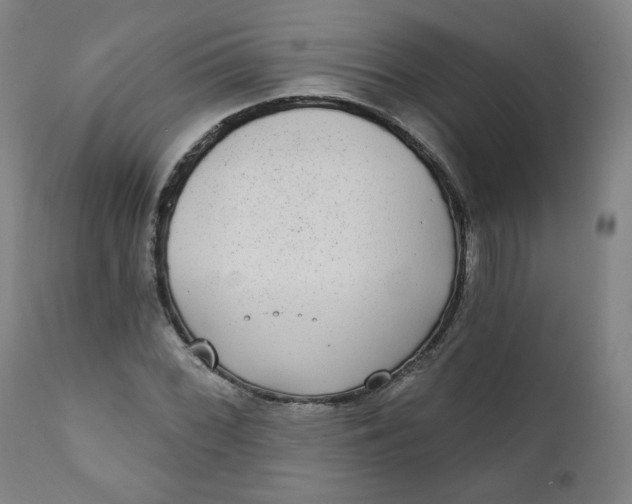 X0000111221068200907161245