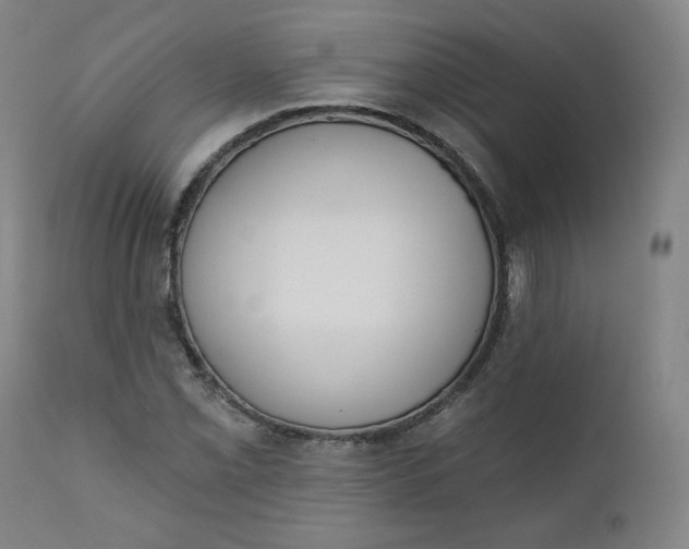 X0000111221069200907161245