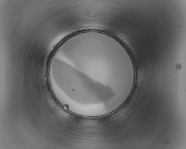 X0000111221071200907161245