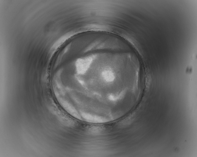 X0000111221074200907161245