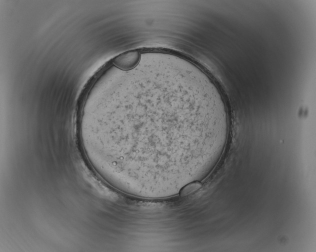 X0000111221076200907161245