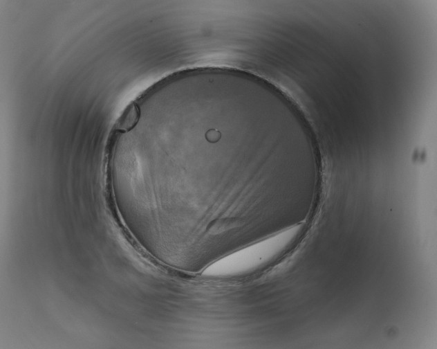 X0000111221077200907161245