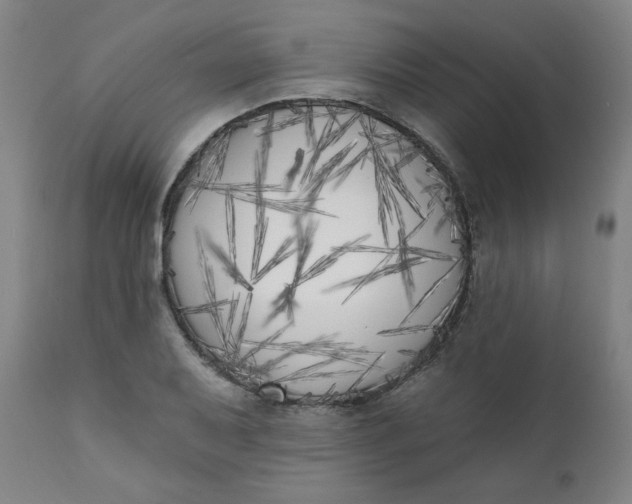 X0000111221079200907161245