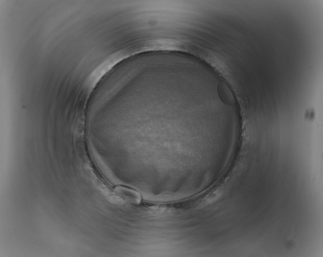 X0000111221081200907161245