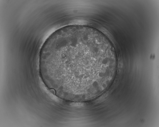 X0000111221083200907161245