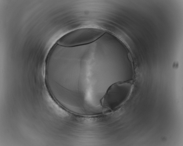 X0000111221084200907161245