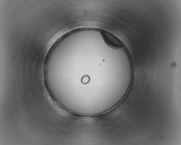 X0000111221085200907161245