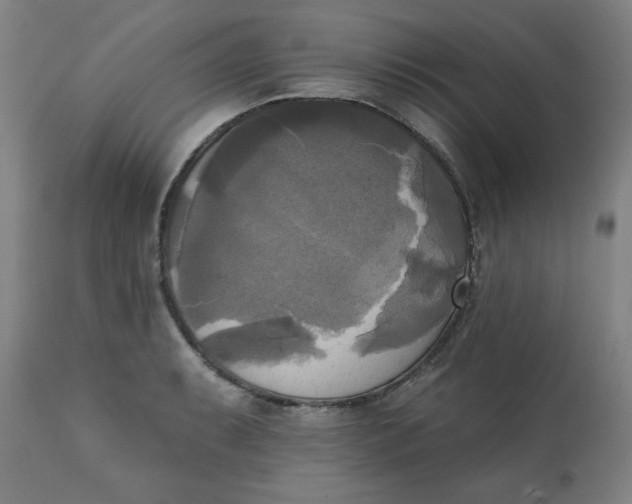 X0000111221087200907161245