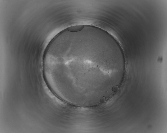 X0000111221088200907161245