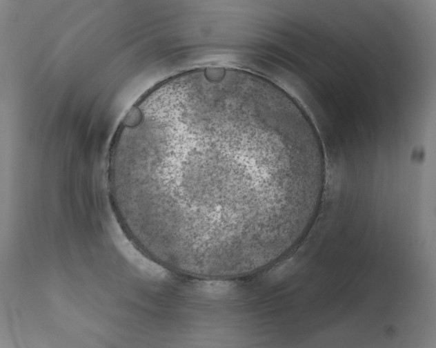 X0000111221090200907161245