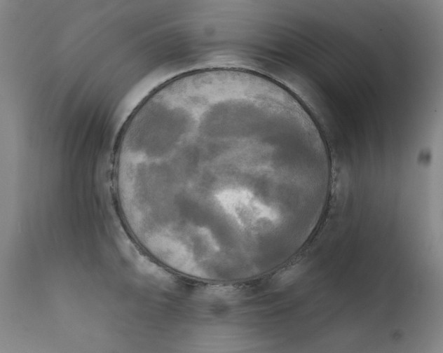 X0000111221094200907161245