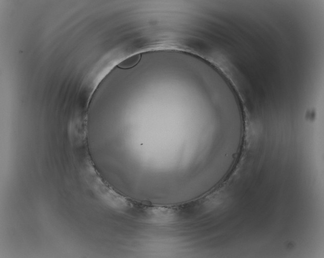 X0000111221097200907161245