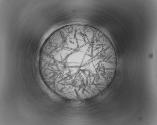 X0000111221099200907161245