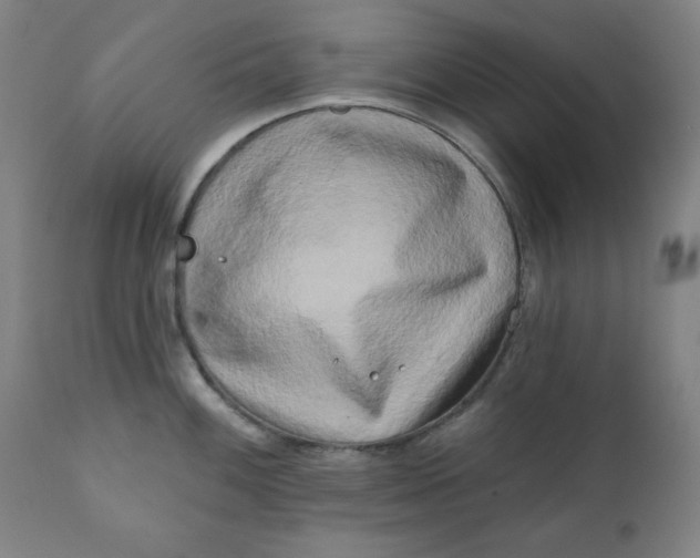 X0000111221100200907161245