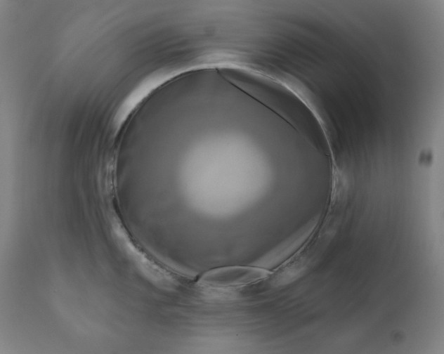 X0000111221101200907161245