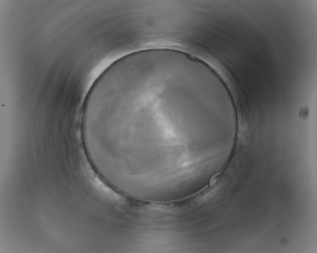 X0000111221102200907161245