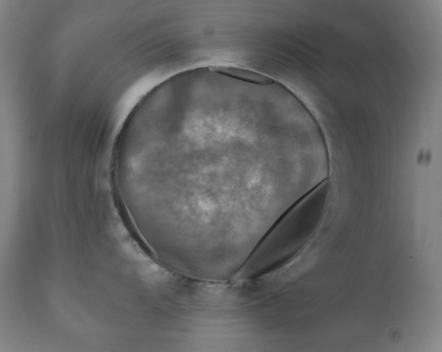 X0000111221104200907161245