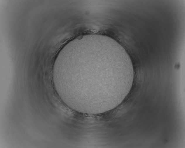 X0000111221105200907161244