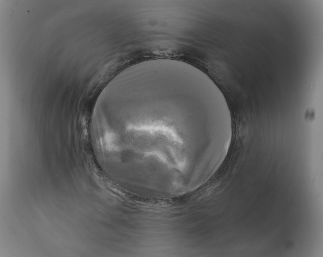 X0000111221106200907161244