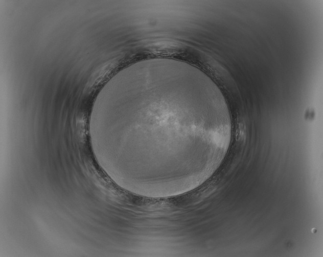 X0000111221108200907161244