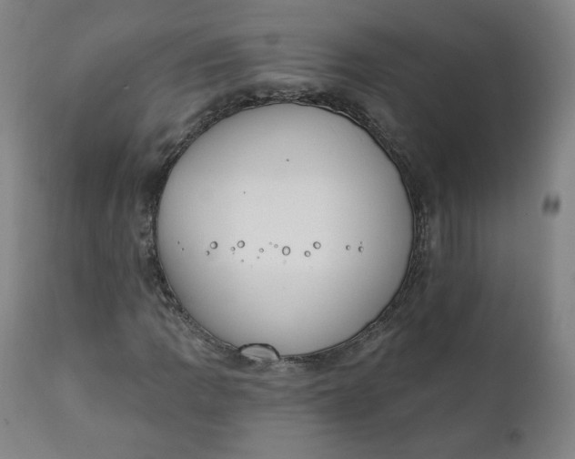 X0000111221109200907161244