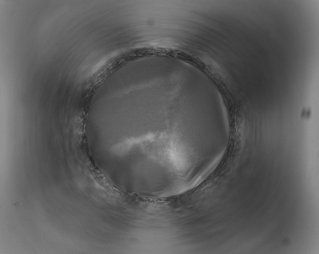 X0000111221110200907161244