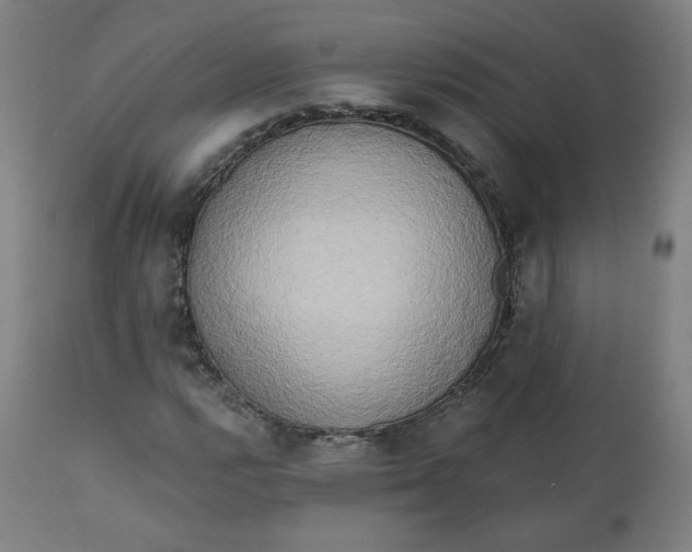 X0000111221112200907161244