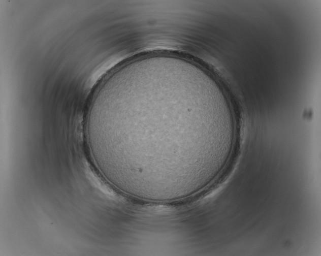 X0000111221113200907161244