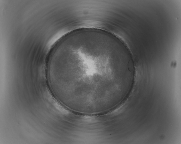 X0000111221114200907161244